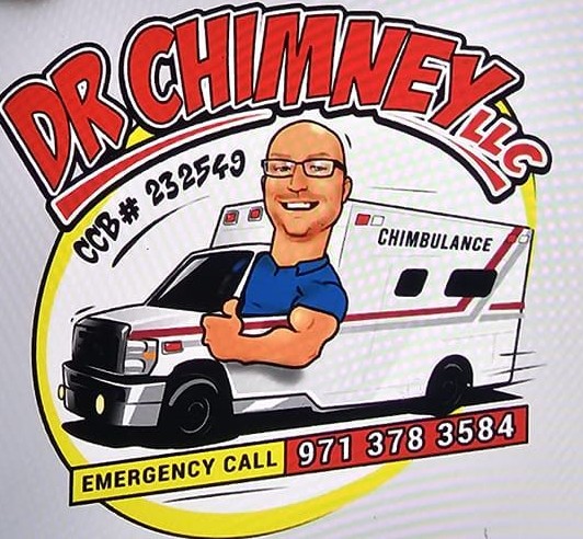 DR CHIMNEY LLC Logo